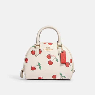 Coach sales cherry bag